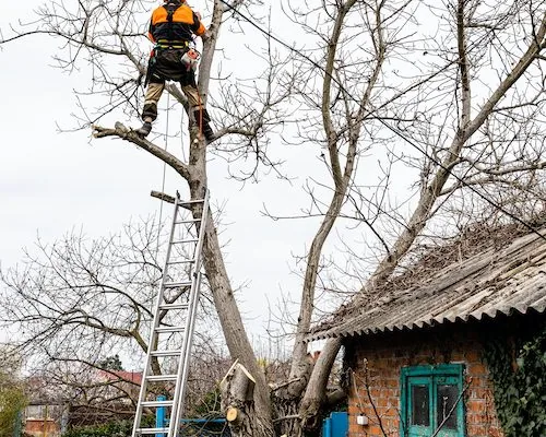 Emergency and Storm Work
